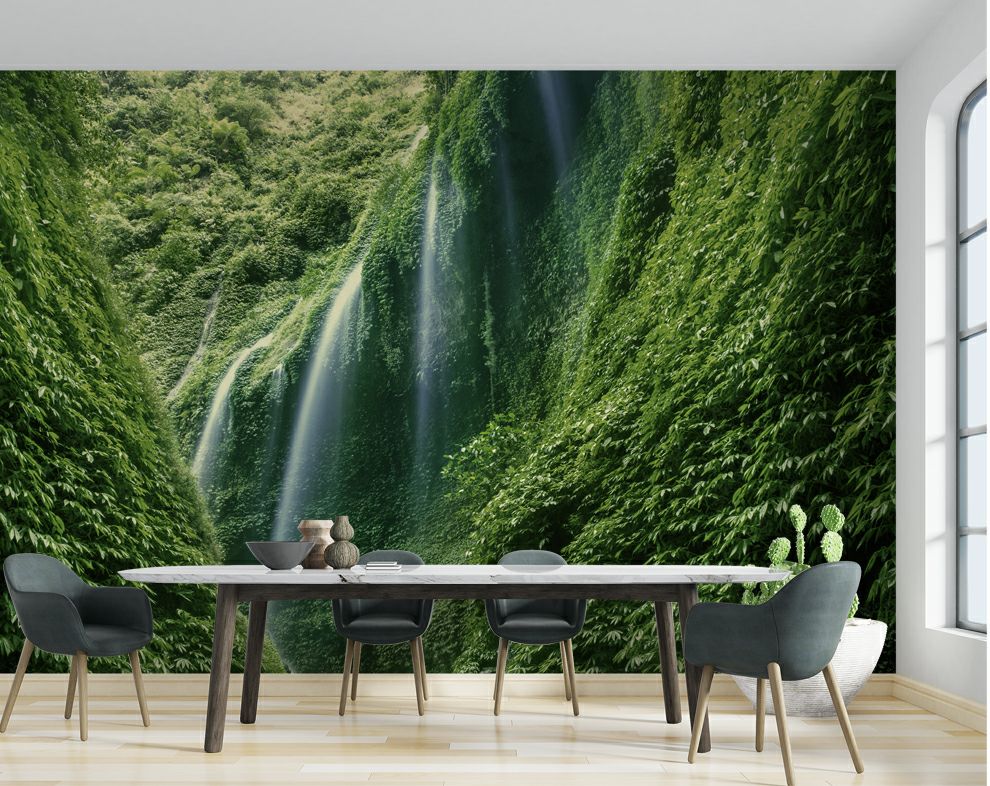 Dense Rain Forest Wallpaper