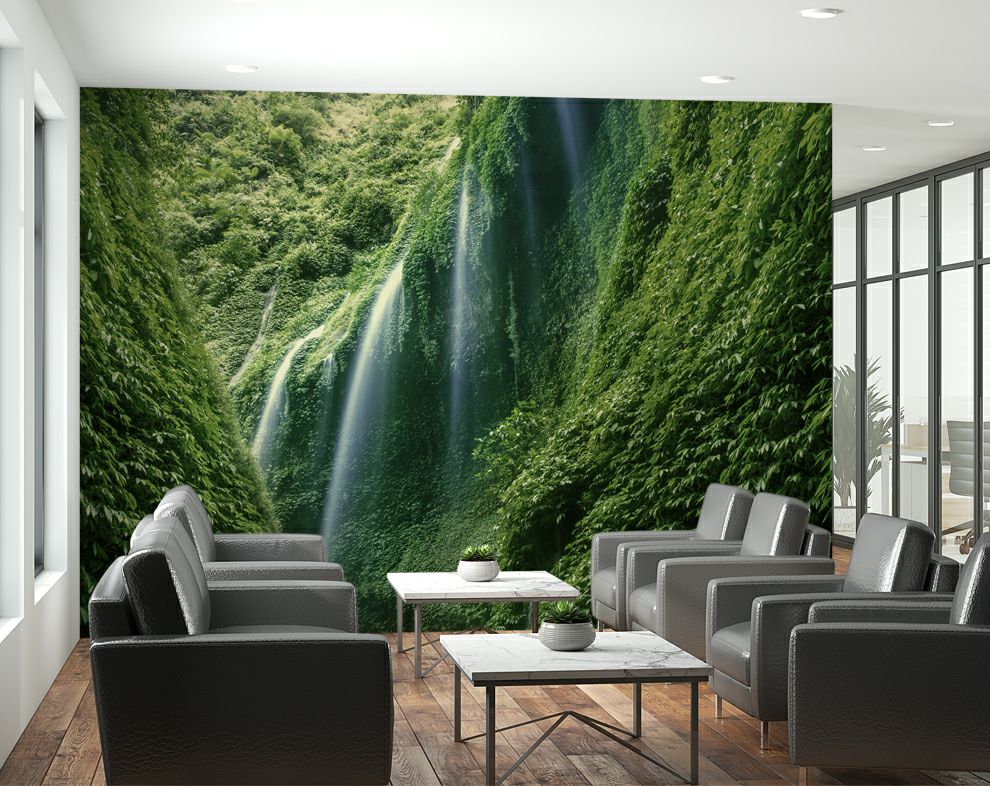 Dense Rain Forest Wallpaper