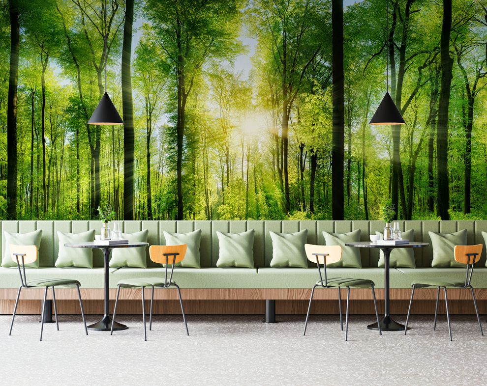 Nature Wallpaper, Trees, Forest, Landscape 3D Wallpaper