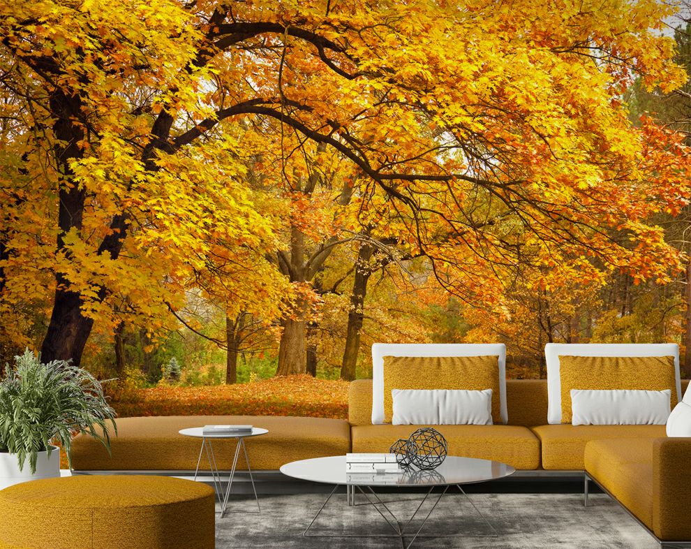 Yellow Leaves Tree Forest Wallpaper