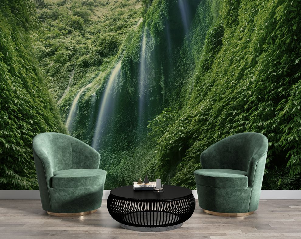 Dense Rain Forest Wallpaper