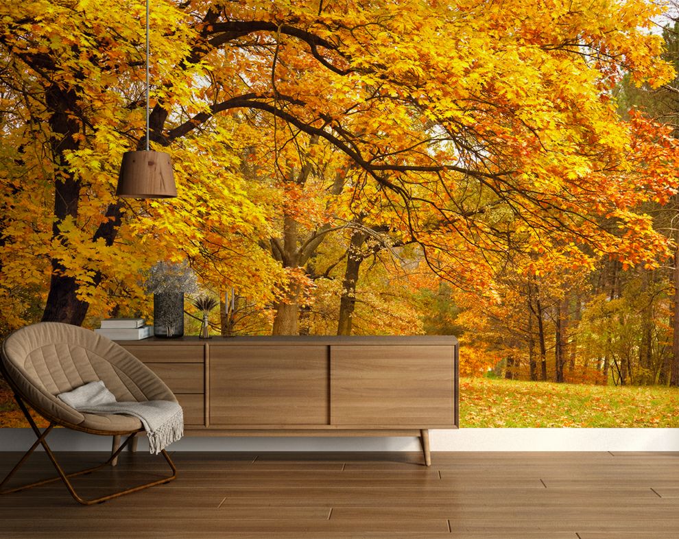 Yellow Leaves Tree Forest Wallpaper