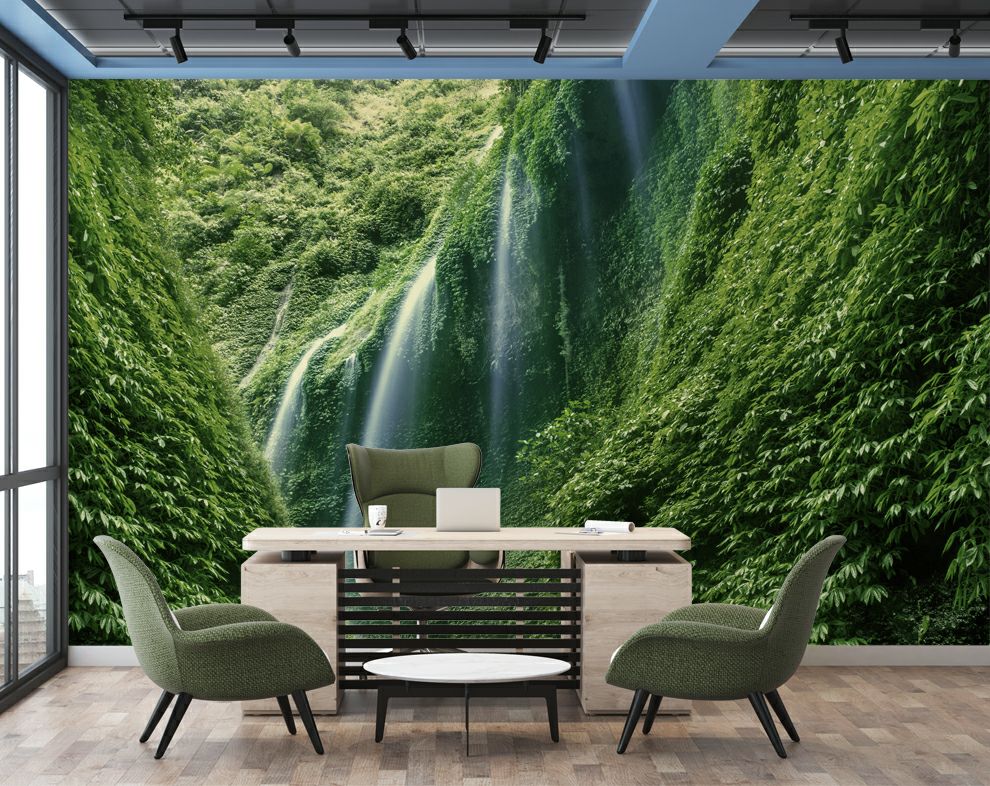 Dense Rain Forest Wallpaper