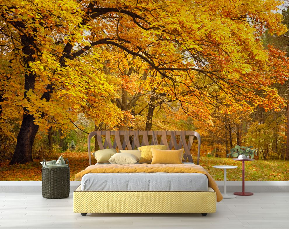 Yellow Leaves Tree Forest Wallpaper
