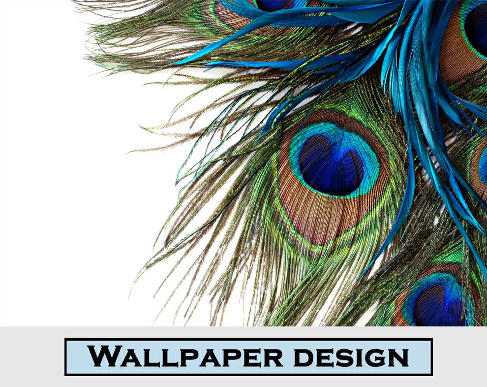 Green blue peacock feather wallpaper - view 9
