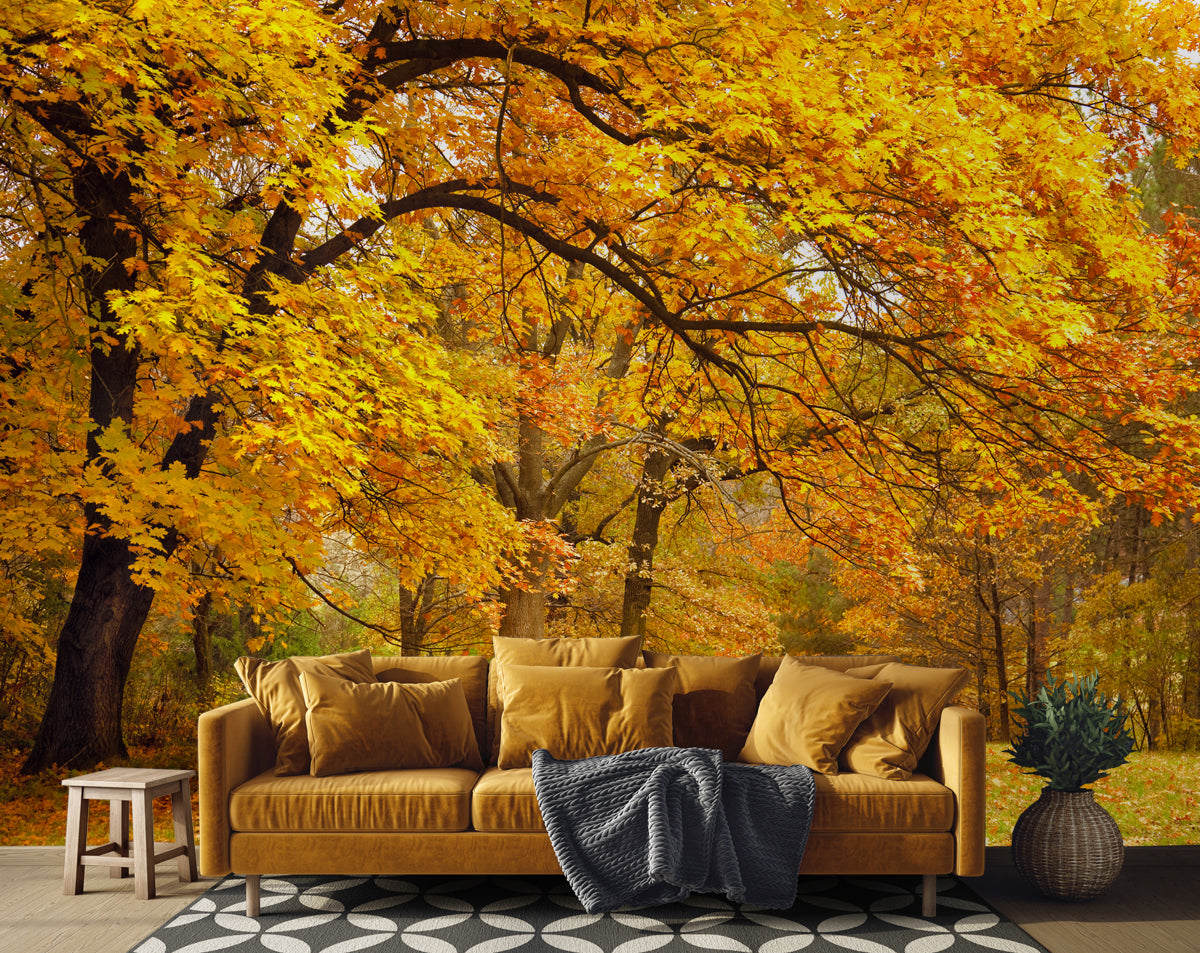 Yellow Leaves Tree Forest Wallpaper