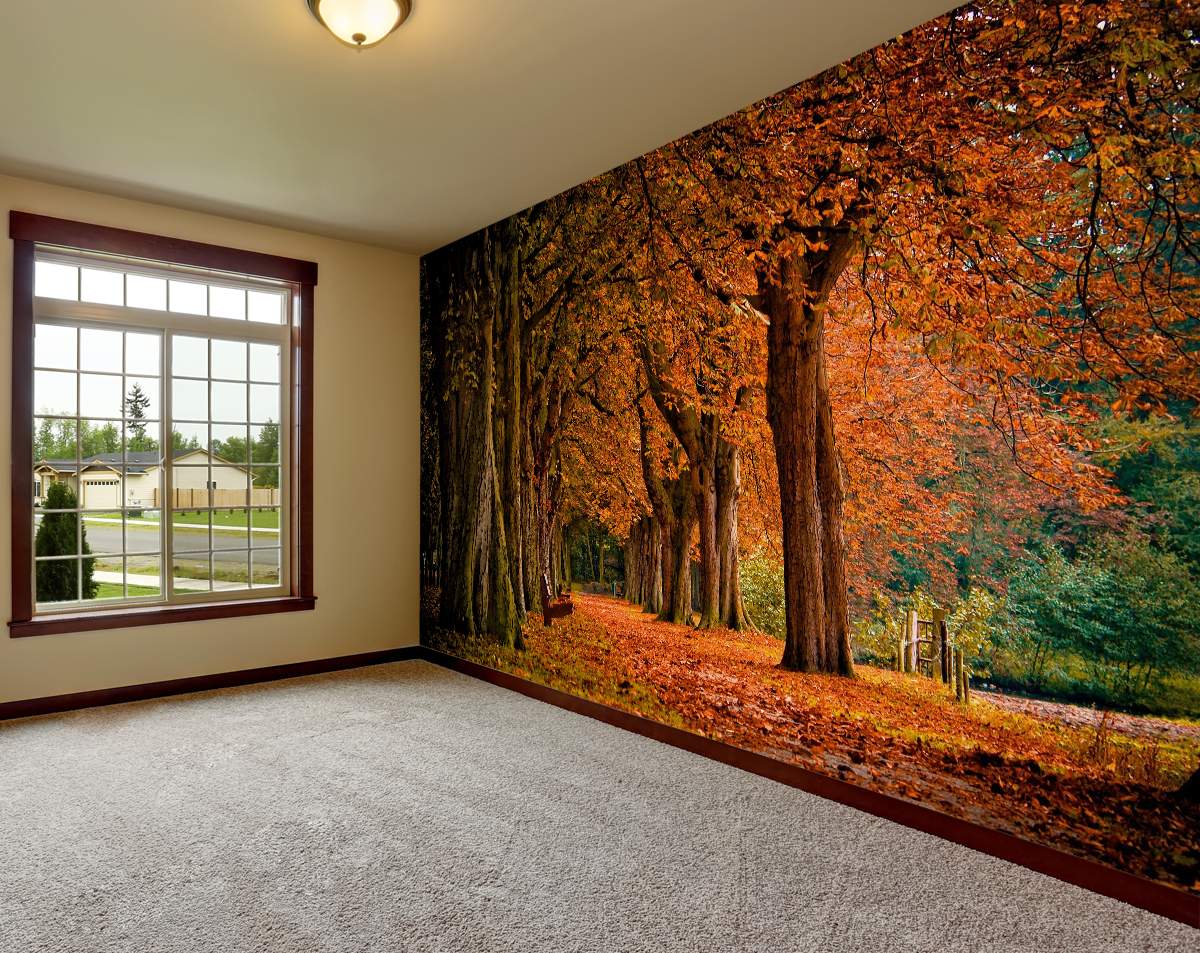 Forest 3D Wallpaper | Beautiful Nature Wallpaper | Nature Customized Wallpaper | Living room and Bedroom Wallpaper