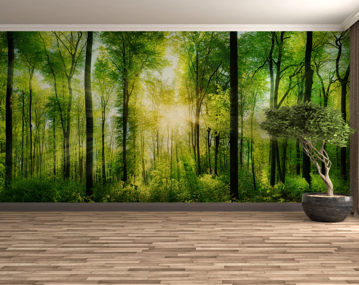 Nature Wallpaper, Trees, Forest, Landscape 3D Wallpaper – Home Decoram