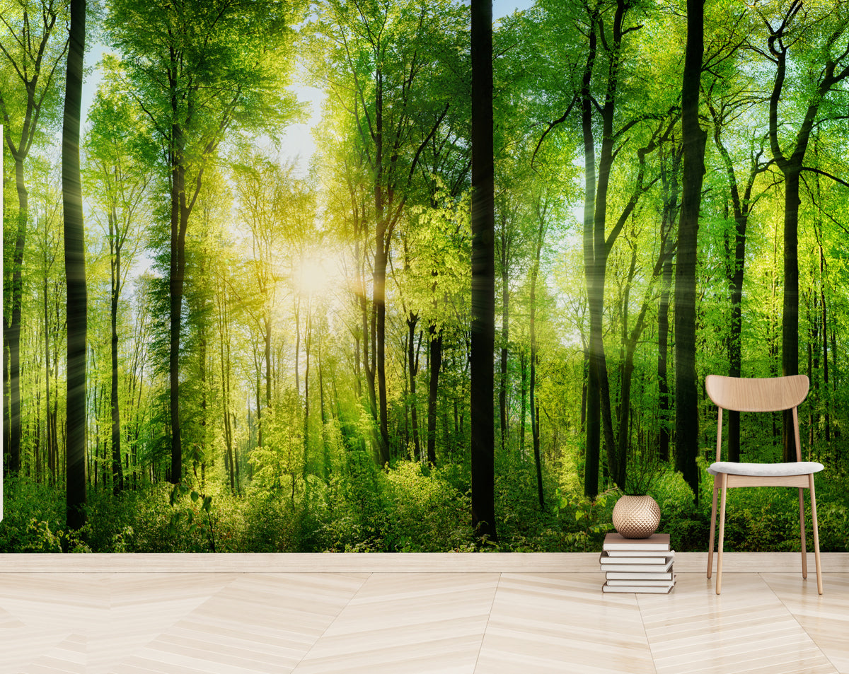 Nature Wallpaper, Trees, Forest, Landscape 3D Wallpaper