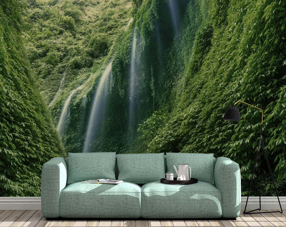 Dense Rain Forest Wallpaper