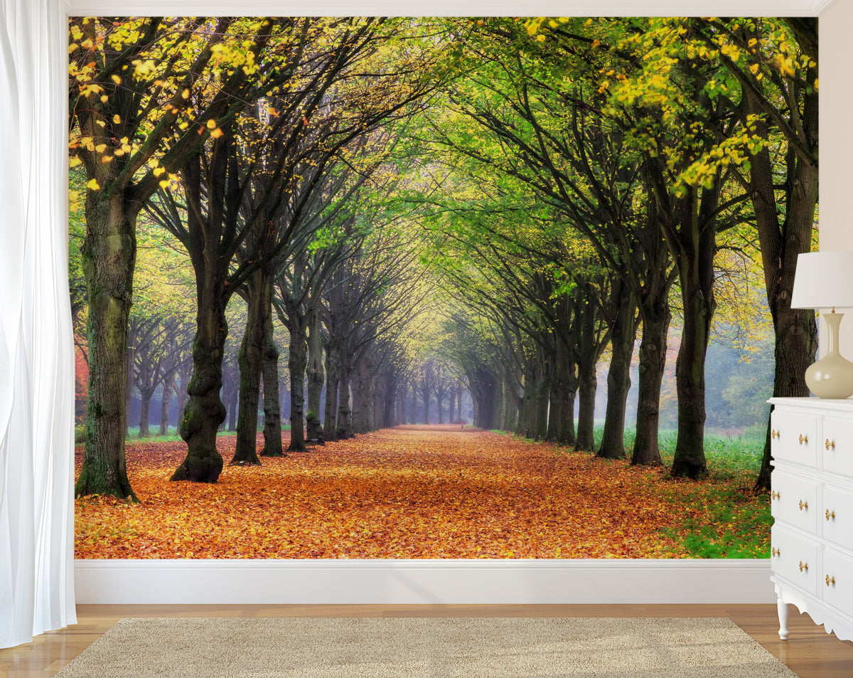 Nature Forest 3D Landscape Wallpaper