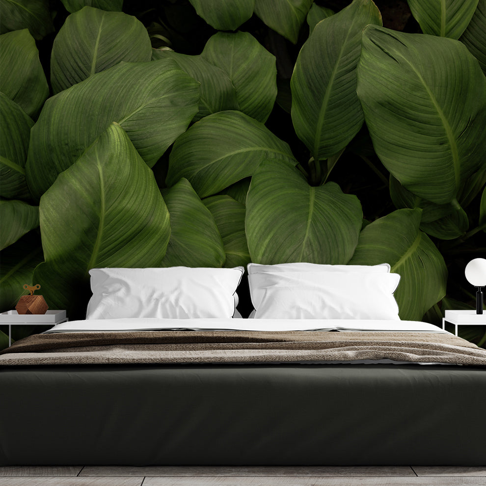Bedroom - Beautiful Big Green Leaf Tropical Wallpaper