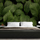 Bedroom - Beautiful Big Green Leaf Tropical Wallpaper