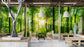 Trees forest landscape nature wallpaper for wall - view 4