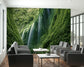 Dense rainforest wallpaper - view 4