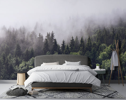 Foggy Forest Montane Nature Wallpaper