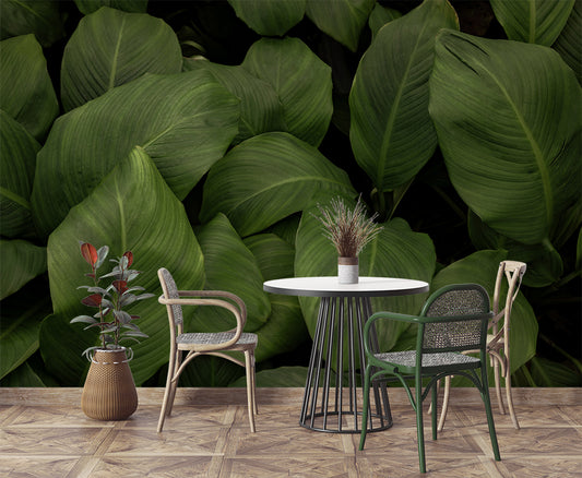 Dining Room - Beautiful Big Green Leaf Tropical Wallpaper