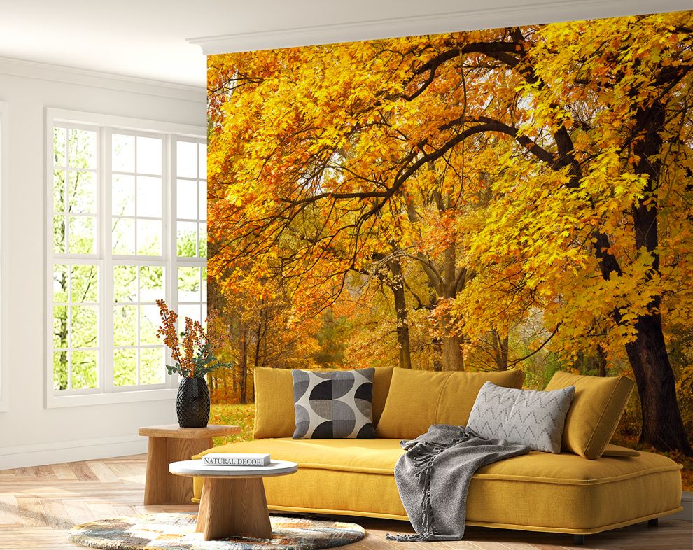 Yellow Leaves Tree Forest Wallpaper