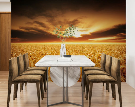 Sunset over wheat field Wallpaper