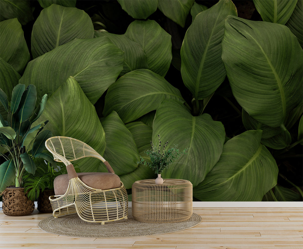 Living Room - Beautiful Big Green Leaf Tropical Wallpaper