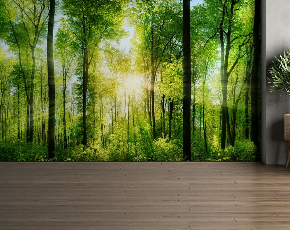 Nature Wallpaper, Trees, Forest, Landscape 3D Wallpaper