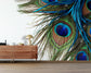 Green blue peacock feather wallpaper - view 4