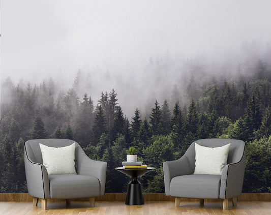 Living Room - Foggy Forest Montane Nature Wallpaper