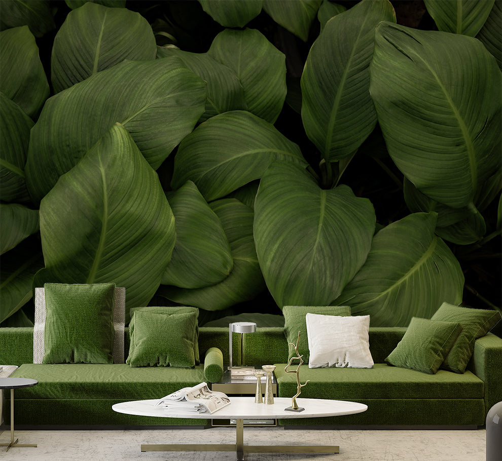 Hallway - Beautiful Big Green Leaf Tropical Wallpaper
