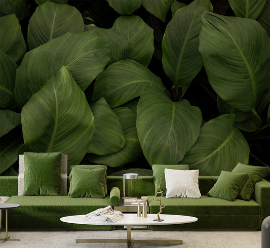 Hallway - Beautiful Big Green Leaf Tropical Wallpaper