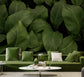 Hallway - Beautiful Big Green Leaf Tropical Wallpaper
