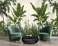 Banana leaf tropical botanical wallpaper - view 6