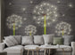 Dandelion flowers floral wallpaper