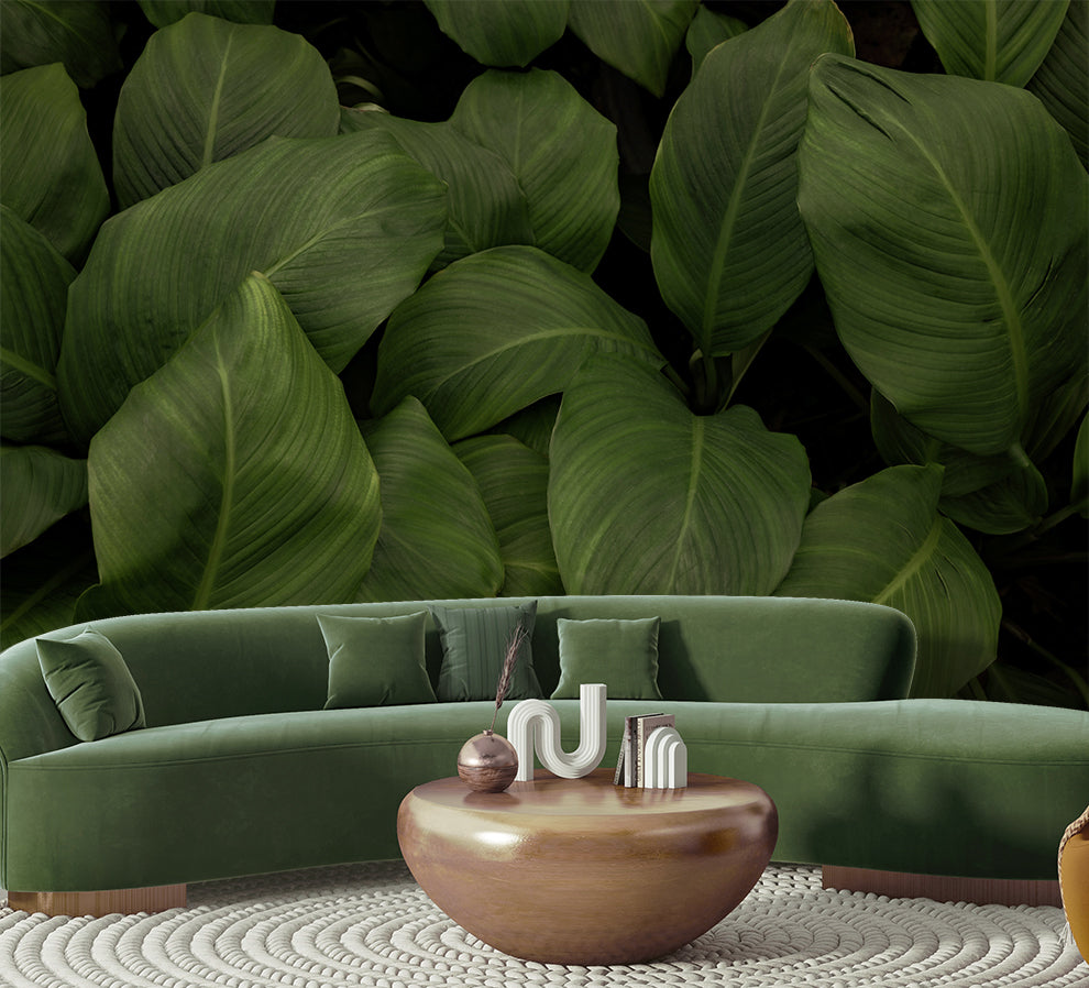 Beautiful Big Green Leaf Tropical Wallpaper