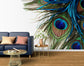 Green blue peacock feather wallpaper - view 5