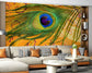 Golden peacock feather wallpaper - view 4