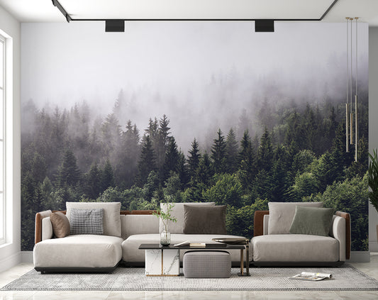 Foggy Forest Montane Nature Wallpaper