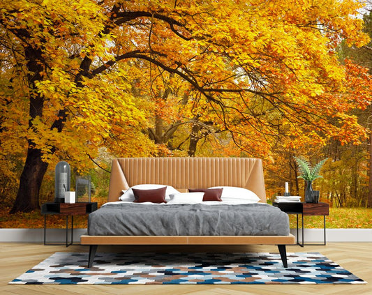 Bedroom - Yellow Leaves Tree Forest Wallpaper