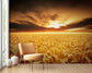 Sunset over wheat field wallpaper - view 4