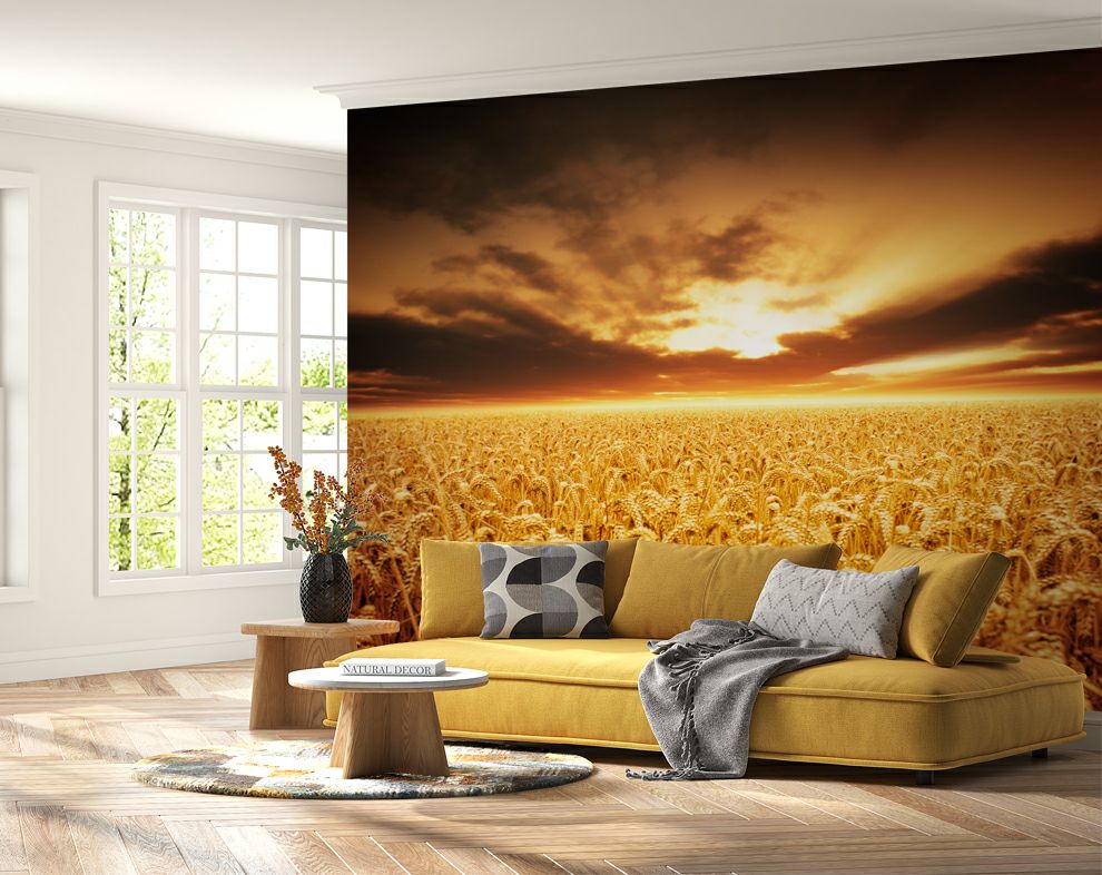 Sunset over wheat field Wallpaper