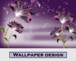 Purple Flower Dream Lily Wallpaper