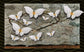 Butterfly wall art wallpaper - view 3