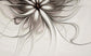 Abstract 3D beige floral wallpaper - view 5