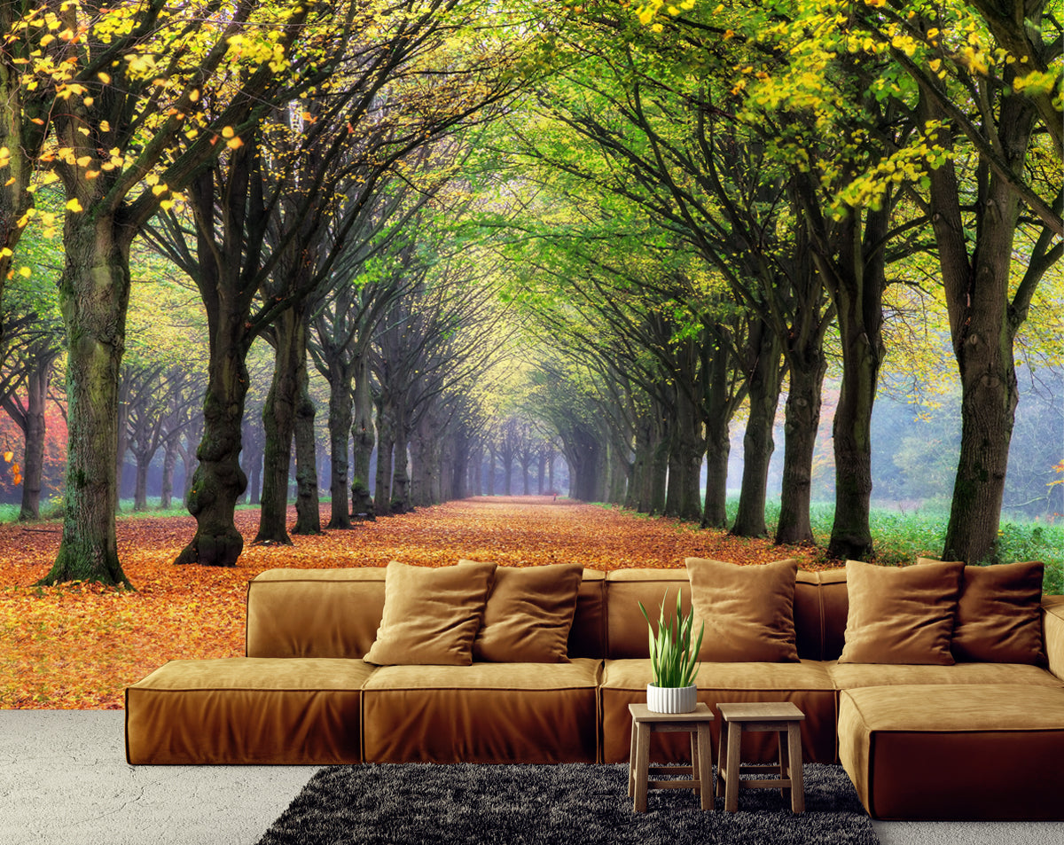Nature Forest 3D Landscape Wallpaper