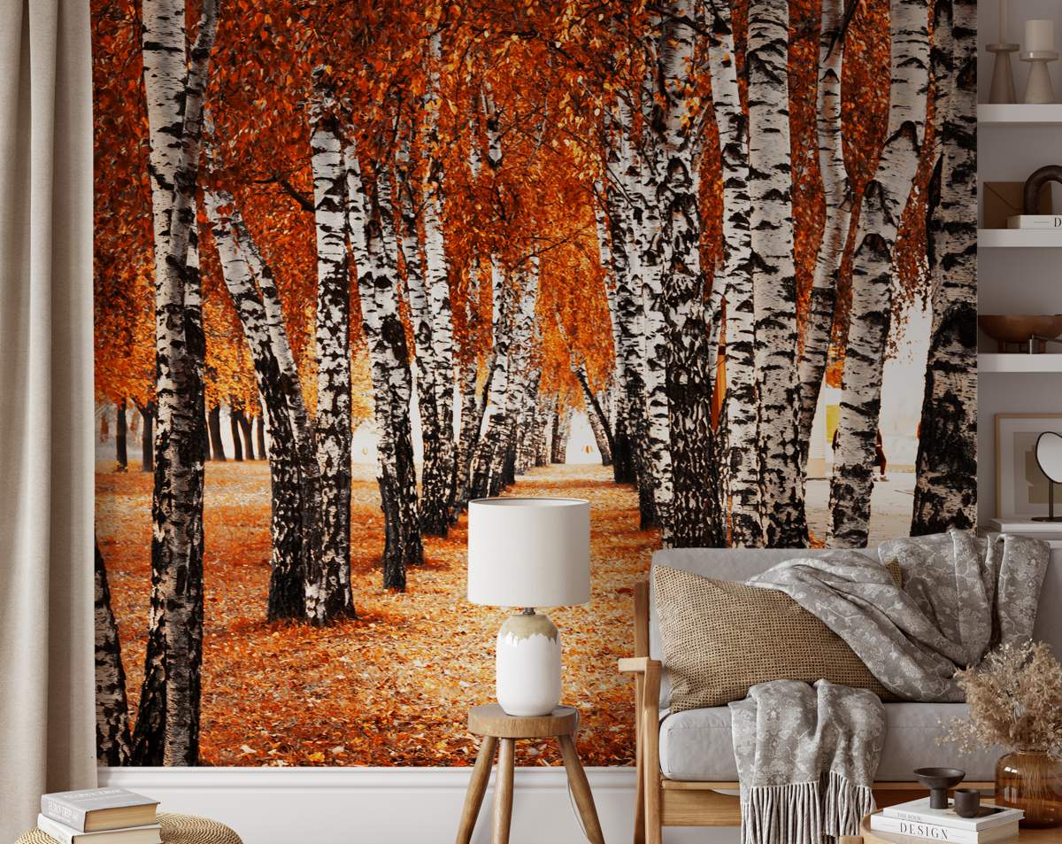 Orange Forest Nature Wallpaper