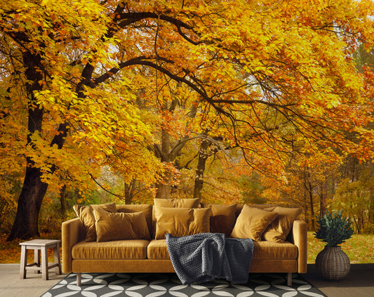 Yellow Leaves Tree Forest Wallpaper