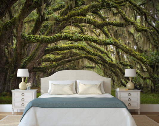 Nature Wallpaper Green Forest 3D Landscape