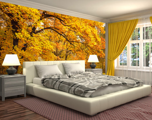 Yellow Leaves Tree Forest Wallpaper