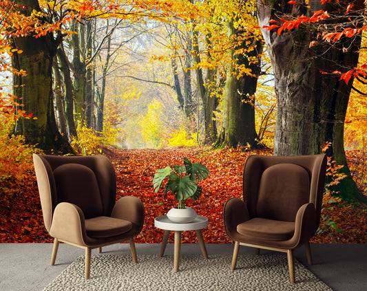 Forest Custom 3D Wallpaper