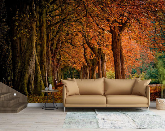 Forest 3D Wallpaper | Beautiful Nature Wallpaper | Nature Customized Wallpaper | Living room and Bedroom Wallpaper