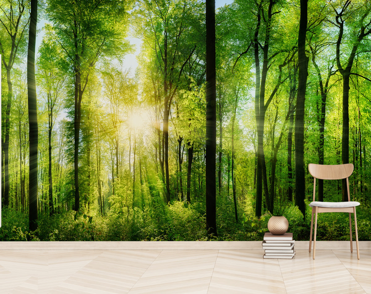 Buy Summer Forest Panorama Wallpaper | Happywall